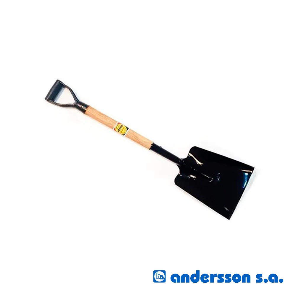 pala-ancha-cplastmoisesxun-2910
